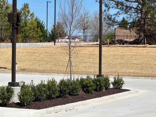 Commercial Landscaping