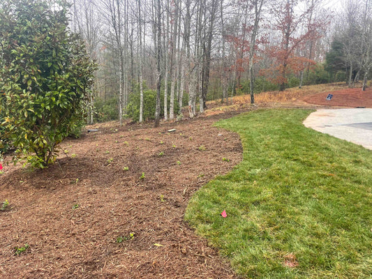 Sod and Seed